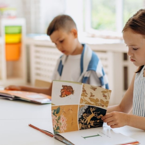 Piccole Mani, Grandi Storie: i Migliori Libri per i Bambini più Piccoli